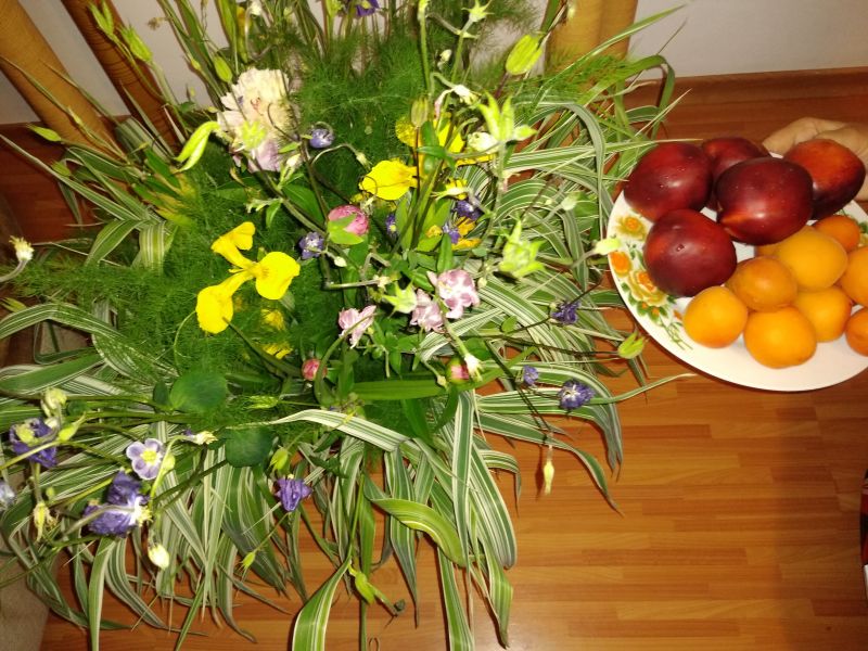 Flori și fructe din sezon de vară