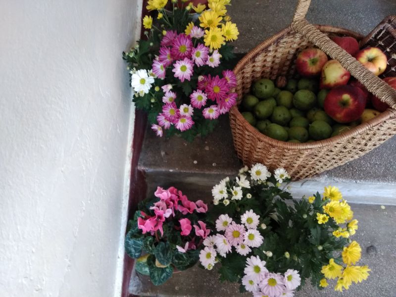 25 idei decor cu flori și fructe