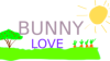 Bunny love – Dragostea iepurașului Bunny - povestire pentru copii