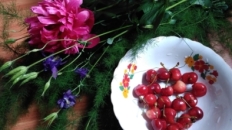 Fructe și bujori – de ziua iubirii