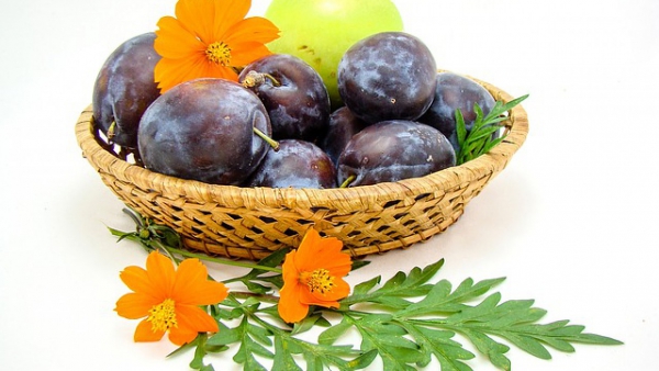Prunele - gustoase și sănătoase