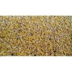 Quinoa albă - 500 grame